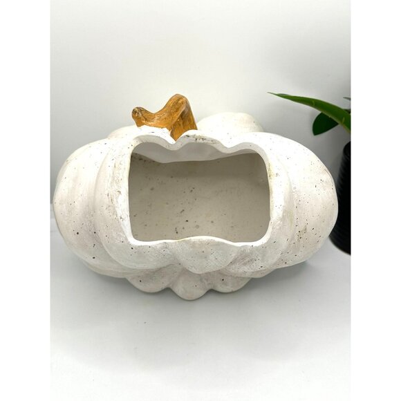 Decorative White Pumpkin Planter With Orange Stem - Picture 4 of 8